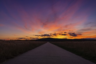 The sun has set behind the Taunus, a low mountain range in Hesse, and colours the evening sky,