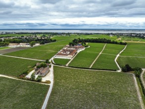 Chateau Pontet-Canet Vineyard and grape fields around Pauillac and Gironde Estuary from a drone,