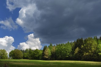 Landscape with heap and rain clouds, Bavarian Forest, Bavaria, Germany