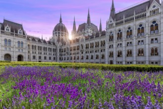 Hungary, panoramic view of the Parliament and Budapest city skyline of historic center