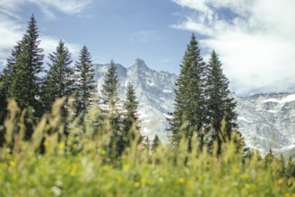 View of the Hoher Sonnblick, Rauris, Pinzgau, Salzburg, Austria
