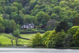 Grasmere Lake, Grasmere, Ambleside, Lake District, Westmorland, Cumbria, England, United Kingdom