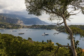 Panorama, View from Mont Boron, Saint-Jean-Cap-Ferrat, Cap Ferrat, Alpes Maritimes, Provence Alpes