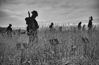 Installation, Standing with Giants, honours the victims of the fallen British soldiers by