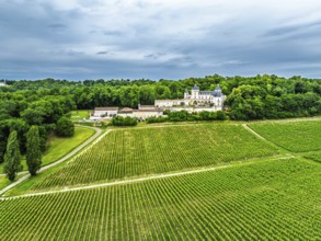 Castle of La Riviere, Vineyard Chateau de La Riviere from a drone, Bordeaux, France