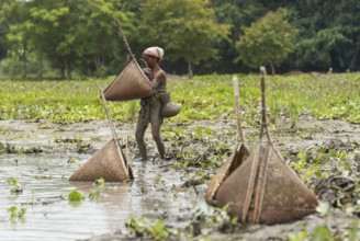 BAKSA, INDIA- JULY 12: Tribal women engage in traditional fishing using Jakoi, a bamboo fishing
