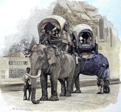 The elephants of the King of Siam, Bangkok, Thailand. His children riding the animals, illustration