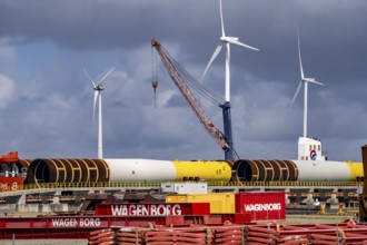 The seaport of Eemshaven, Julianahaven Basin, where the foundation structures, monopiles, for