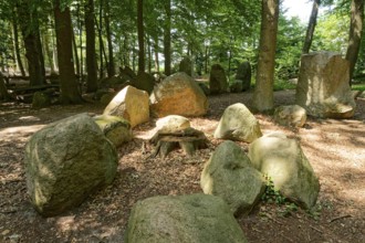 Erratic blocks in the Neuenknick erratic block forest in the Teutoburg Forest. Around 2000 of the