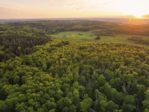 Sunset over a vast forest landscape with autumn-coloured trees, forest pasture project,