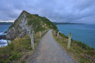 A narrow path leads along a cliff with a view of the stormy sea, summer, Nugget Point lighthouse,