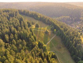 Natural landscape in a wooded area with meadows and paths in the light, Retro Freizeitpark