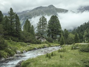Windbach, Windbachtal, Krimmler Tauern, Pinzgau, Salzburg, Austria