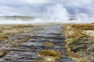 Sulphur vapour, Hveravellir geothermal area, Icelandic highlands, Suðurland, Sudurland, Iceland