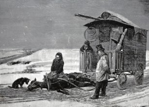 The last steps of the horse that collapsed in front of the carriage and dies, 1880, France,