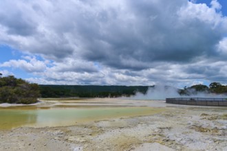 Vapour emissions from a geothermal area under a cloudy sky, surrounded by nature and trees,