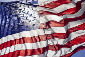 Dramatic backlit american flag waving in the wind