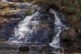 Ice on tree branches over Fall Branch Falls along the Benton MacKaye Trail in the Chattahoochee