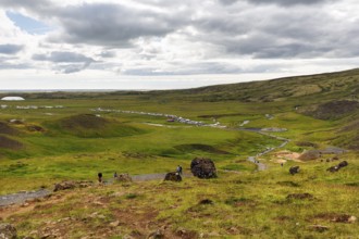 Hiking trail from the car park to the Reykjadalur bathing area, Hveragerði, Hveragerdi, Golden