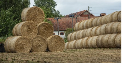 Storage of round straw bales in Skurup municipality, Skåne county, Sweden, Scandinavia