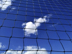 Looking up at a blue sky filled with clouds, framed by a black net. The sunlight highlights the