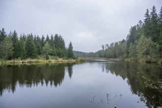 A little lake (Lindnerweiher) near Frauenzell at autumn, Bavaria, Germany