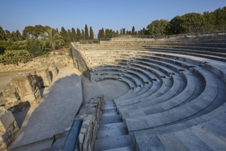 Ancient theatre with palm trees and trees, stone steps and summer surroundings, Ancient Theatre,