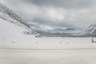 Winter road trip on the Icefields Parkway with lots of snow and ice, Banff National Park, Jasper