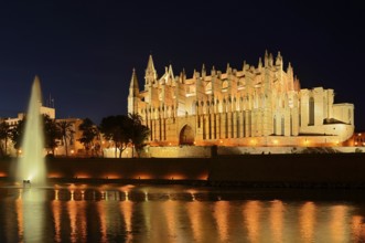 La Seu Cathedral or Cathedral of St Mary, night shot, Palma de Majorca, Majorca, Balearic Islands,