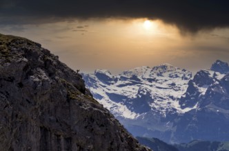 Alpine ibex (Capra ibex), summit donkey, Pilatus Kulm mountain station, in front of Swiss mountain
