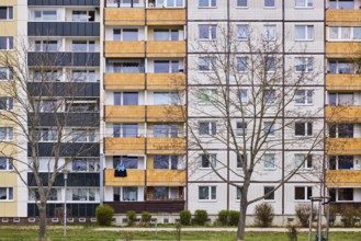 Residential building, high-rise buildings, facade, window, balcony, bare winter trees, diffuse