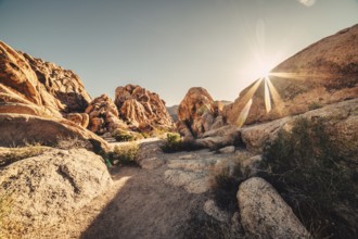 Sunrise in Joshua Tree National Park