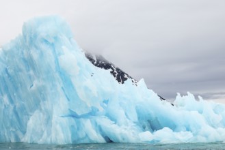 Iceberg in front of mountain, blue glacier ice, Smeerenburgbreen, Scandinavia, Spitsbergen
