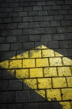 A yellow arrow marking on dark textured pavement draws attention. The sunlight creates an
