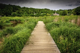 A wooden path stretches through vibrant green grass in the countryside of Auvergne, France. Distant