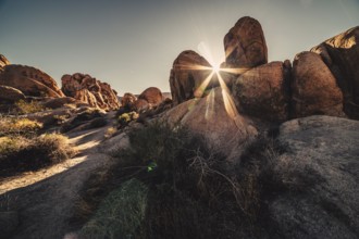 Sunrise in Joshua Tree National Park