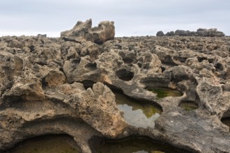 A rocky area with a hole in the ground. The hole is filled with water. The water is brown in colour
