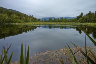 Calm lake with forest and cloudy sky, reflections visible in the water, summer, Lake Matheson, Fox
