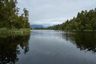 A lake with small waves and dense trees, against a grey sky, summer, Lake Matheson, Fox Glacier,