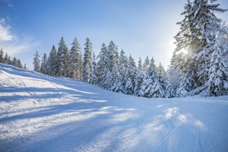The Goetschen piste in Berchtesgadener Land, Bavaria, Germany