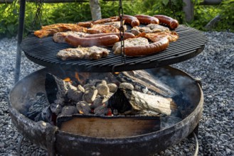 Meat and sausages on the grill over a fire bowl during a barbecue