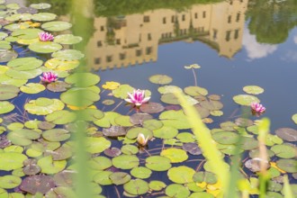 Reflection of a building in a pond with water lilies and blooming flowers, Botanical Garden, The