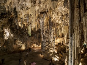 Cueva de Nerja, illuminated cave, large stalagmites and stalagtites, Nerja, Andalusia, Spain