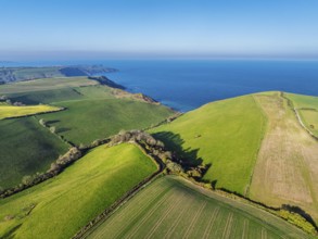 Farms and Fields over Brixham and Kingswear from a drone, Devon, England, United Kingdom