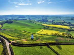 Rapeseed fields and Farms over Devon Windmill from a drone, Torquay, Devon, England, United Kingdom