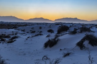 Gypsum dunefields at White Sands National Monument located within the Chihuahuan Desert and the