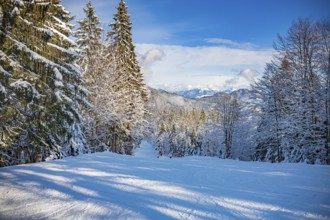 The Goetschen piste in Berchtesgadener Land, Bavaria, Germany