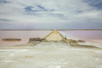 Saltworks, Salin-de-Giraud, Bouches-du-Rhône, Arles, France