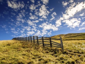 A wooden barrier runs across a grassy area on Sancy mountain, part of the Auvergne Volcanoes