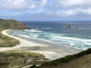 Sandfly Bay, Otago, South Island, New Zealand, Oceania
